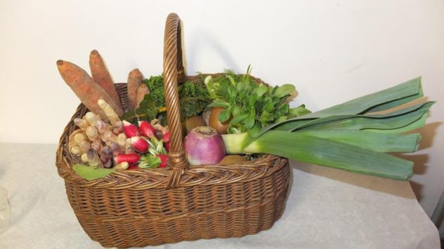 Panier légumes